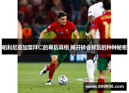 帕利尼亚加盟拜仁的幕后真相 揭开转会背后的种种秘密