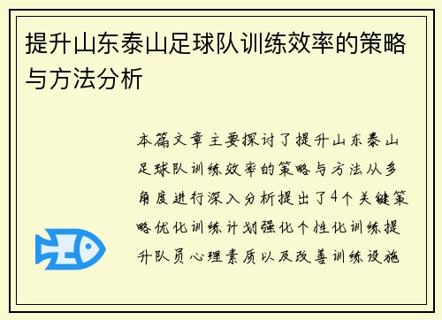 提升山东泰山足球队训练效率的策略与方法分析