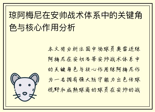 琼阿梅尼在安帅战术体系中的关键角色与核心作用分析