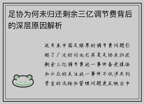 足协为何未归还剩余三亿调节费背后的深层原因解析